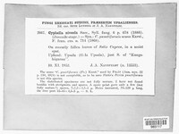 Image Associated With the Occurence